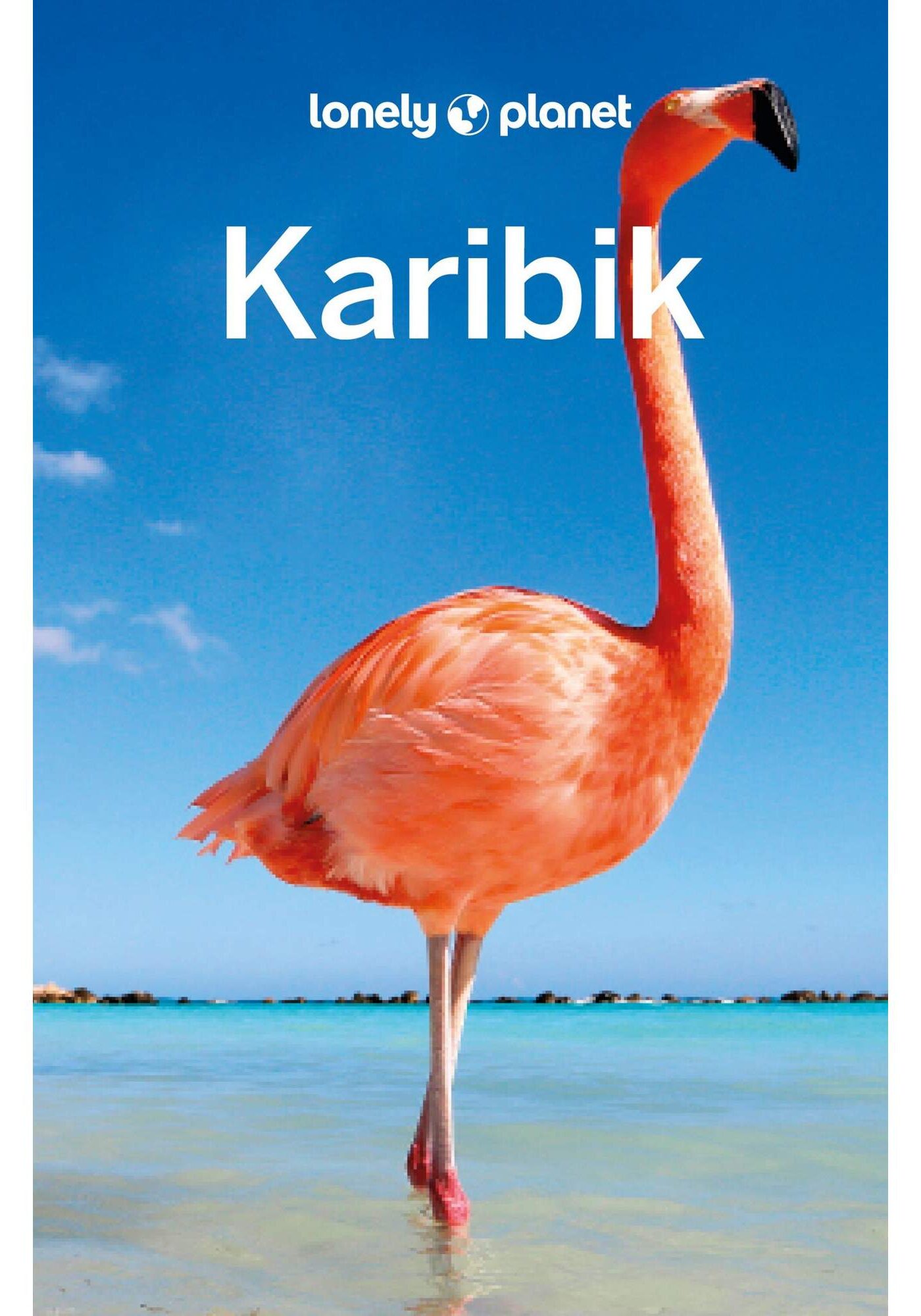 5638039119_a_lonely_planet_reisefuehrer_karibik_24