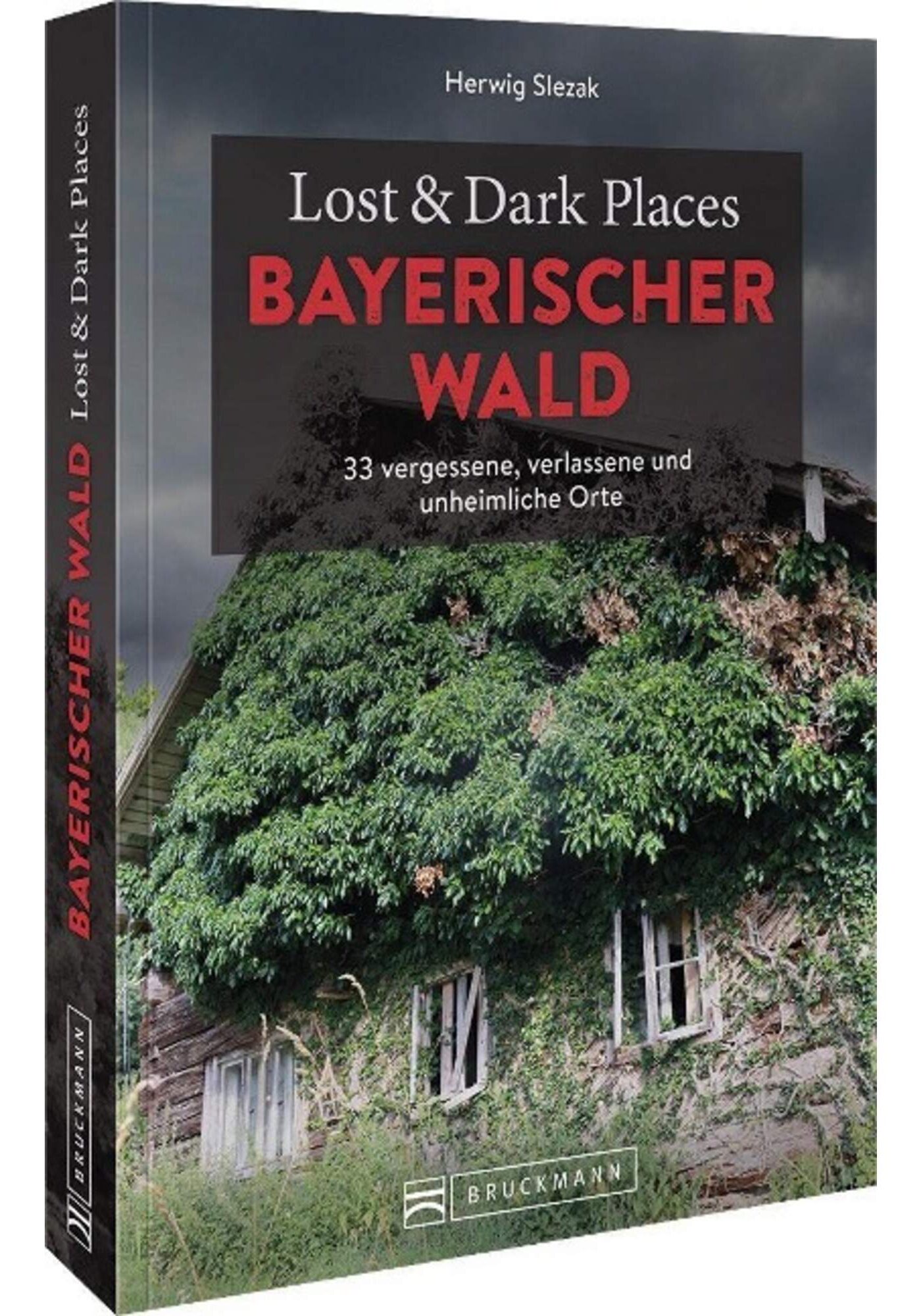 5638082097_a_lost___dark_places_bayerischer_wald_24
