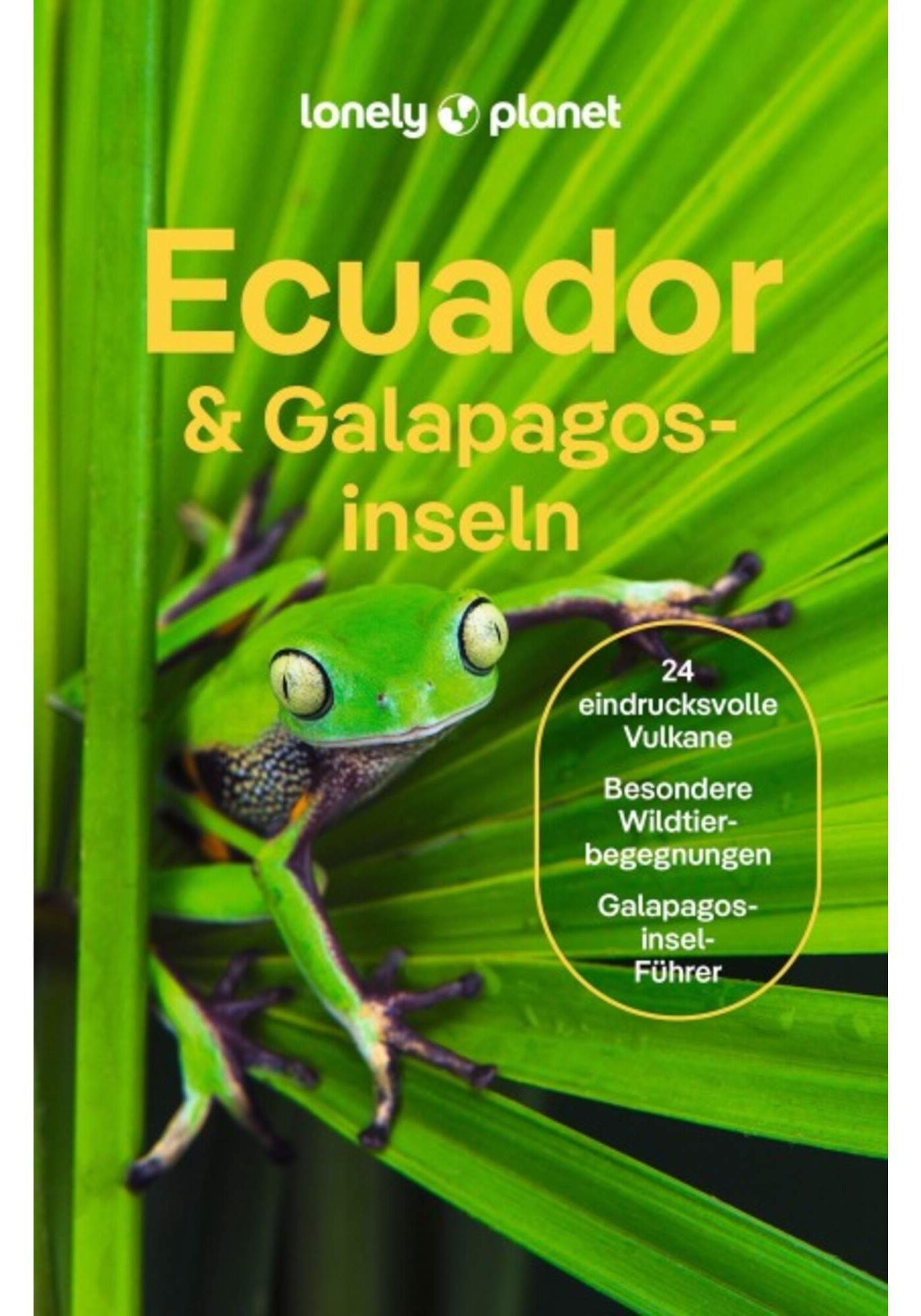 5638229347_a_lonely_planet_reisefuehrer_ecuador___galpagosinseln_24