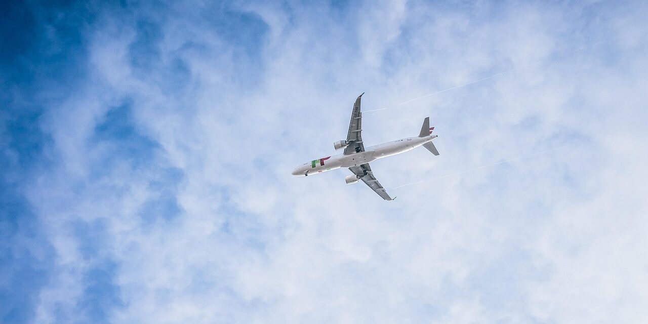 leonhard_niederwimmer-plane-8508636_1280
