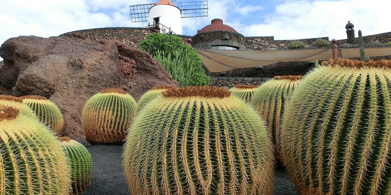 neufal54-lanzarote-211043_1280