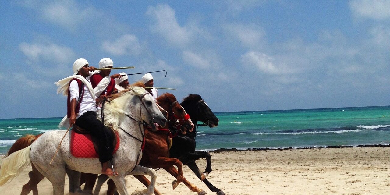 stecatlliure-tunisia-979410_1280