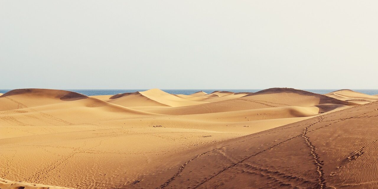 summerstock-dunes-1673766_1280 (1)