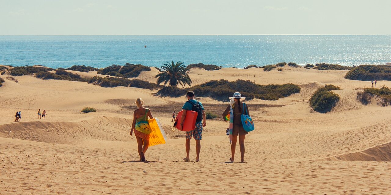 summerstock-gran-canaria-1684745_1280 (1)