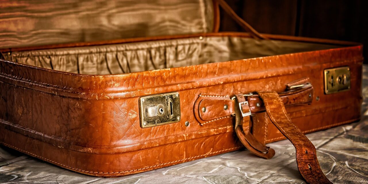 tama66-suitcase-3297015_1280